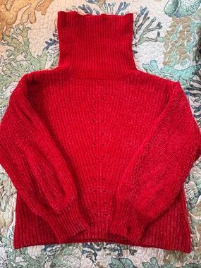 Aqua Red Ribbed Turtleneck Sweater